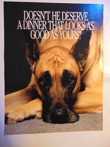 1988 Great Dane Dog Deserves Dinner That Looks as Good As Yours vintage print ad - Picture 1 of 1