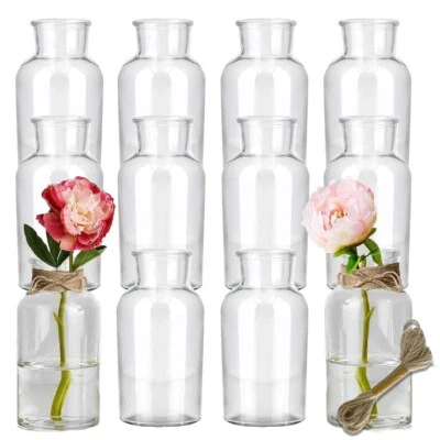 12 mini Glasvasen Set 10cm Hochzeitsdeko Blumen Vase Flasche kleine Glas Väschen - Bild 1 von 2