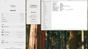 Apple Mac mini (512GB SSD, M2 Pro, 16GB, Gigabit Ethernet) Silver - MNH73B/A... - Afbeelding 1 van 4