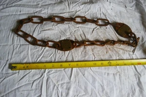 Par De Etiquetas De Colección De Latón De Ganado De Vaca Con Cadena ¡Estilo Muy Raro! Lote 25-31-A - Imagen 1 de 3