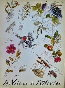 Poster Les VOISINS de L'OLIVIER Feigenbaum Weinrebe Génévrier Cade Eiche-Grün & Ziste - Bild 1 von 1