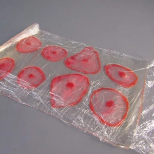 Nasco Life/form Moulage Wound - Lyme Disease Roll NEW Lyme's Realistic Replica - Picture 1 of 4