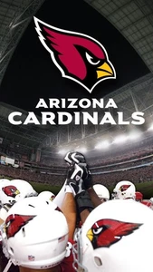 ARIZONA CARDINALS - Pick Your Favs - FREE SHIPPING & Daily Updates - Picture 1 of 134