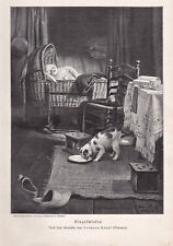 Katzen - Motiv mit Hauskatze und Baby - Stich, Holzstich nach H. Knopf 1905