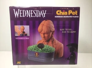 Chia Pet WEDNESDAY Decorative Pottery Planter Addam’s Family NEW in box - Picture 1 of 4