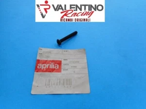 VITE GANCIO PORTA BORSE ORIG. APRILIA SCARABEO 50 4 T 2002>2017 AP8225369 - Foto 1 di 1
