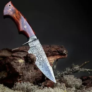 10" Full Tang Fixed Blade Bowie Hunting Knife Rosewood Handle w/Sheath Tactical - Picture 1 of 15
