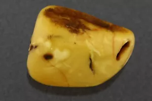 Großes echtes baltisches bernsteinfarbenes Eigelb einfarbiges Nugget Steinstück 54,1 g 211104-6 - Bild 1 von 10