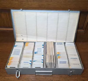 (218) Vintage 1960-70 Family Photos & Travel + Storage Case 35mm Slide Photo LOT - Picture 1 of 19