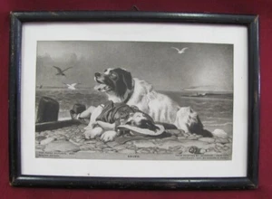 1910 ANTIQUE FRAMED ART LITHO PRINT OF EDWIN LANDSEER PAINTING BOSTON USA - Picture 1 of 8