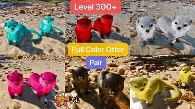 ark survival ascended pve Full Color Otter Pair, Level 300+