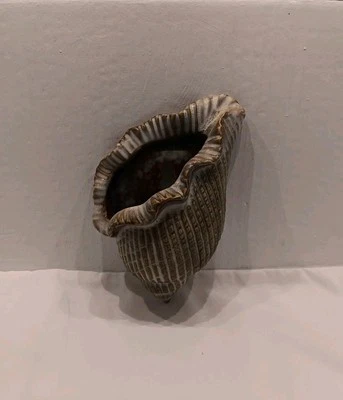 Sea Shell Conch Flower Vase Porcelain Craft Home Wall Decor Art Hanging  - Image 1 of 4