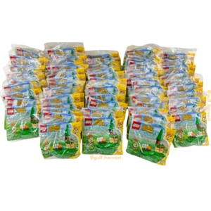 Lot of (62) Lego 30662 Animal Crossing Maple's Pumpkin Garden Polybag Sets 2024 - Picture 1 of 8