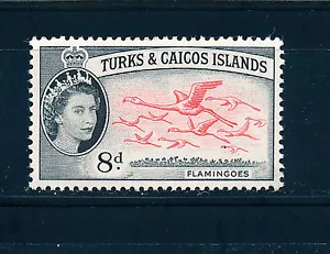 TURKS & CAICOS ISLANDS 1957-60 DEFINITIVES SG245 8d FLAMINGOES  MNH - Picture 1 of 1