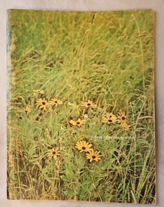 Rare 3 Days of Peace & Music ORIGINAL PROGRAM FOR WOODSTOCK Music Festival 1969 - Picture 1 of 24