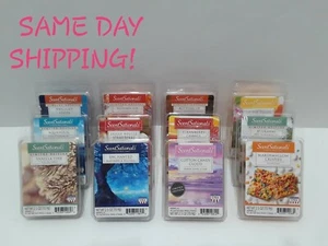 ScentSationals Wachswürfel Sie wählen Duft Limited Edition oder eingestellt #12S - Bild 1 von 1