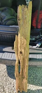 Natural Driftwood Roughly 6ft X 14in Wide. Percent For Pet Landscape - Picture 1 of 4