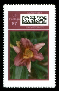 PICTUREITPOSTAGE ENDICIA.COM 2CVP58t-71t FLORES - Imagen 1 de 1