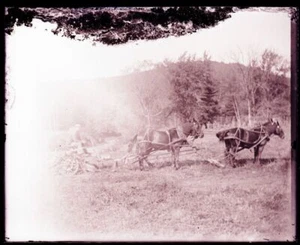 LATE 1800s or EARLY 1900s GLASS NEGATIVE, PLOWING SCENE, NUMBER 2 - Picture 1 of 2