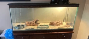 75 gallon tank - Picture 1 of 2
