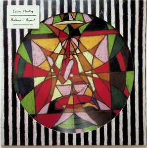 LAURA MARLING- Patterns In Repeat LTD Picture Disc Vinyl LP (NEW 2024 Folk) 1000 - Picture 1 of 2