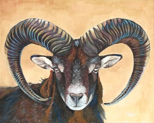 "Impresión artística Giclee de pintura gouache ram/cimarrón oveja, vida silvestre 8"" × 10" - Imagen 1 de 2
