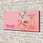 Tulup Canvas Print Wall Art 140x70 - Cat on a deckchair
