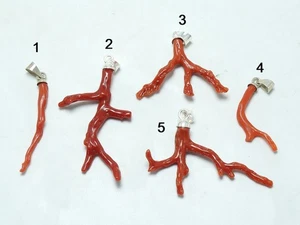 Colgante de plata de ley 925 con palo pulido en bruto natural de coral rojo - Imagen 1 de 60