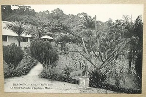 NIEDERKONGO - KAKTEENGARTEN IN LANDANA - MISSION - Bild 1 von 1