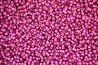 10g Miyuki Japanese Seed Beads Round Size 11/0 2mm 180 Colors To Choose