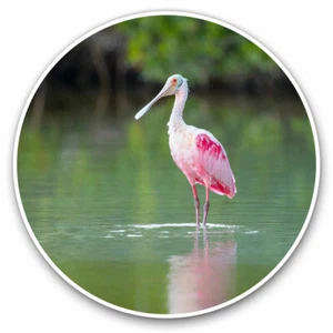 2 x Vinyl Stickers 30cm - Pink Roseate Spoonbill Bird Cool Gift #14341 - Afbeelding 1 van 9