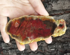 72.5GR Amazing Natural Picture Multicolor Jasper Chalcedony Like a Painting - Picture 1 of 10