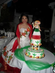 Beautiful hand made and hand painted quinceanera / sweet 16 dress - Picture 1 of 3