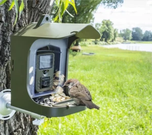 INFRARED BIRD WATCHING CAMERA – 24MP Night Vision Trail Cam - Picture 1 of 9