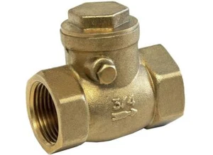 BRASS BSPP PN20 SWING CHECK VALVE - METAL SEAT - Picture 1 of 2