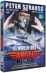 EL VUELO DEL ANGEL NEGRO (DVD) - Imagen 1 de 1