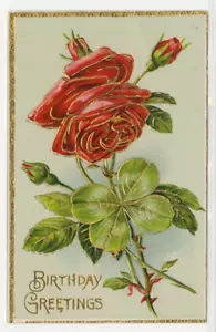Cartolina compleanno grande rosa rossa auguri compleanno in rilievo c1910s G11 - Foto 1 di 2