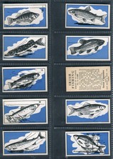 LIAM DEVLIN - IRISH FISHING, MODERN TRANSPORT - TRADE CARDS - PICK YOUR CARD