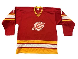 Camiseta deportiva de hockey universitaria usada XL de Hockey America NCAA Arizona State Sun Devils - Imagen 1 de 5