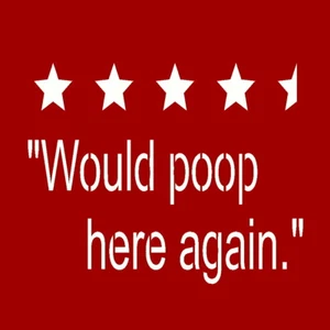 REUSABLE STENCIL ITEM 9081 I 10"x10"WOULD POOP HER AGAIN DIY MYLAR STENCILS - Bild 1 von 1