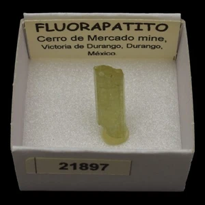 FLUORAPATITO (Cerro de Mercado mine, Durango, Mexico) #21897 / Fluorapatite - Picture 1 of 1