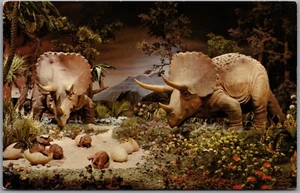 Postcard Anaheim California Disneyland Triceratops Hatchings The Magic Kingdom - Bild 1 von 2