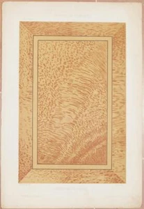 CHABAT CHENE DE BOTANYBEY MARMO MARBLE STONE PIETRA DECORAZIONE DECORATION 1866 - Picture 1 of 1
