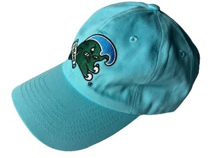 Tulanne Green Waves Sky Blue Hat Cap 2024 Gasparilla Bowl Wave Tampa Football - Picture 1 of 5