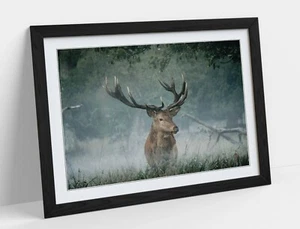MAJESTÄTISCHER STAG - WANDKUNST GERAHMTER POSTER BILDDRUCK - TIERFOTOGRAFIE - Bild 1 von 10