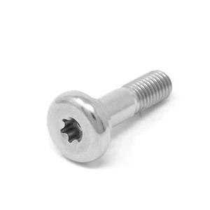 Sprocket Bolt Titanium Triumph Daytona 595 955i Speed Triple T3050265 T3050251 - Picture 1 of 7