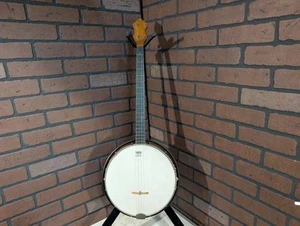 Stromberg Vintage Voisinet Tenor Banjo - Picture 1 of 14
