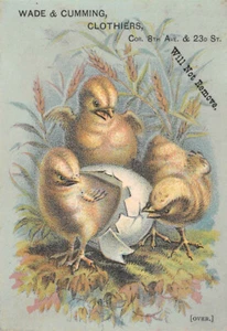 Wade & Cumming Kleider VIKTORIANISCHE HANDELSKARTE Frühlingsküken - KOSTENLOSER VERSAND - Bild 1 von 2