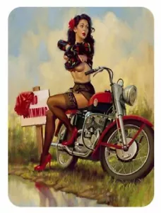 Pinup Girl Sticker Decal pin up pin-up P43 - Bild 1 von 1