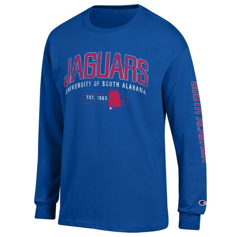 Champion Men's NCAA Fair Catch Long Sleeve T-Shirt, Royal Blue, Medium Cover